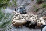 albanie103