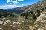 andora114