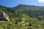 andora116