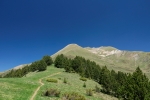 andora118