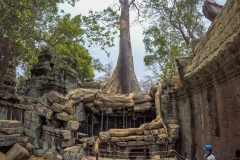 DCIM\100GOPRO\GOPR3733.