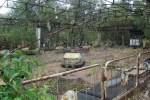 DSC02399