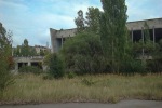 DSC02416