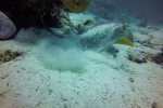 G0013893