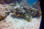 GOPR3880