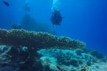 GOPR3943