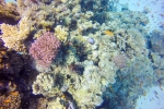 GOPR3977
