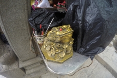 DCIM100GOPROGOPR4566.