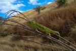 madagaskar112