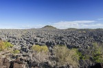 madagaskar113