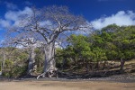 mayotte101