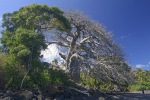 mayotte104