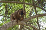mayotte106